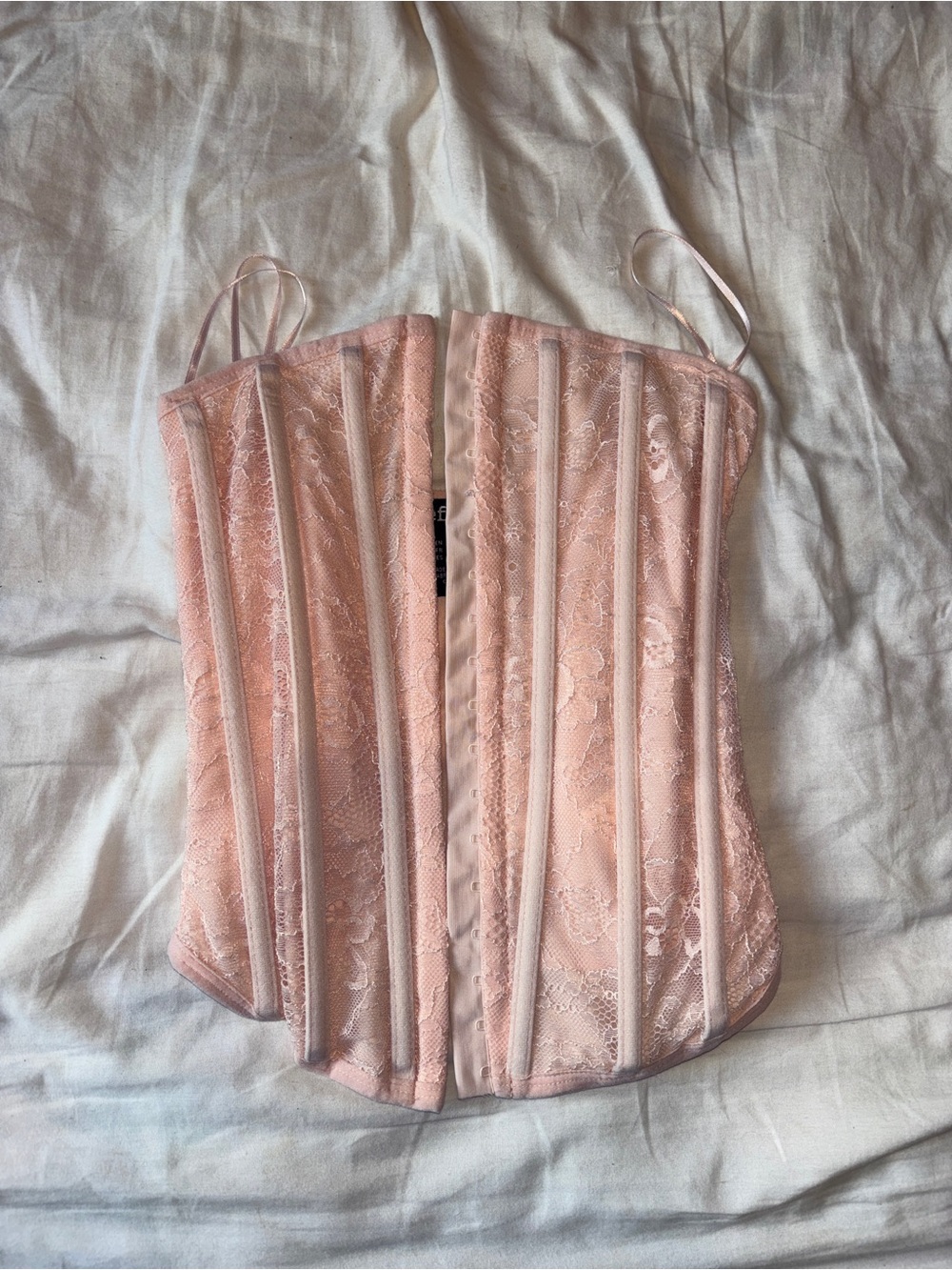 refuge Blush Lace Corset Top